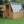 Load image into Gallery viewer, potting shed doors open
